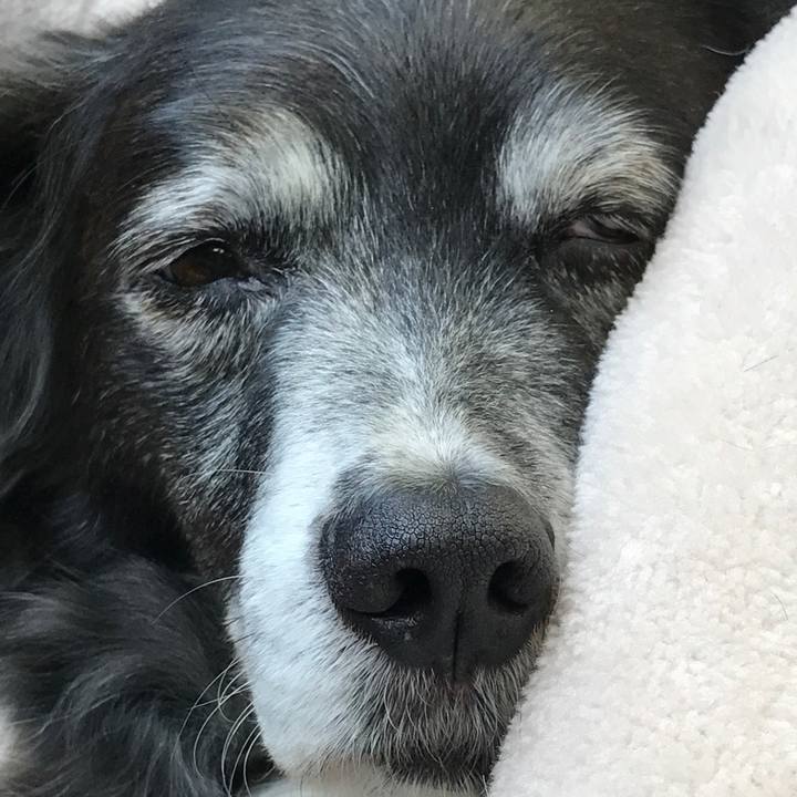 276f8303 0223 4061 94a1 e1a5e24a9153 1523662864914