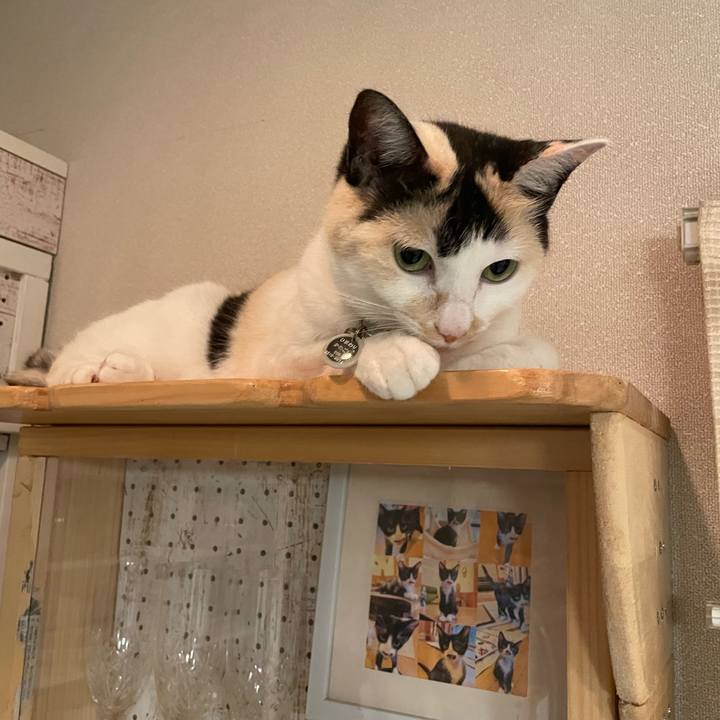 276f9e35 80fa 4073 94c0 2a05cf32c212 1747577659472