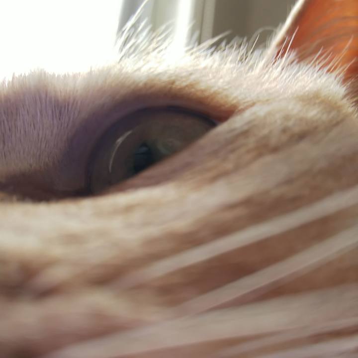 276fa820 9a4e 4772 bfd4 cd21ddc355d1 1650685083738