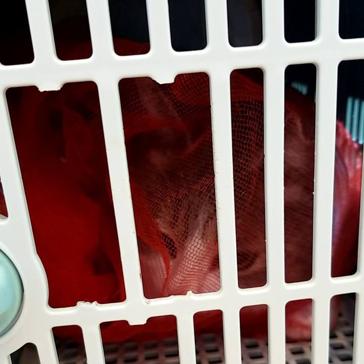 276fa881 986d 4abe 9792 201291869b91 1630389371001