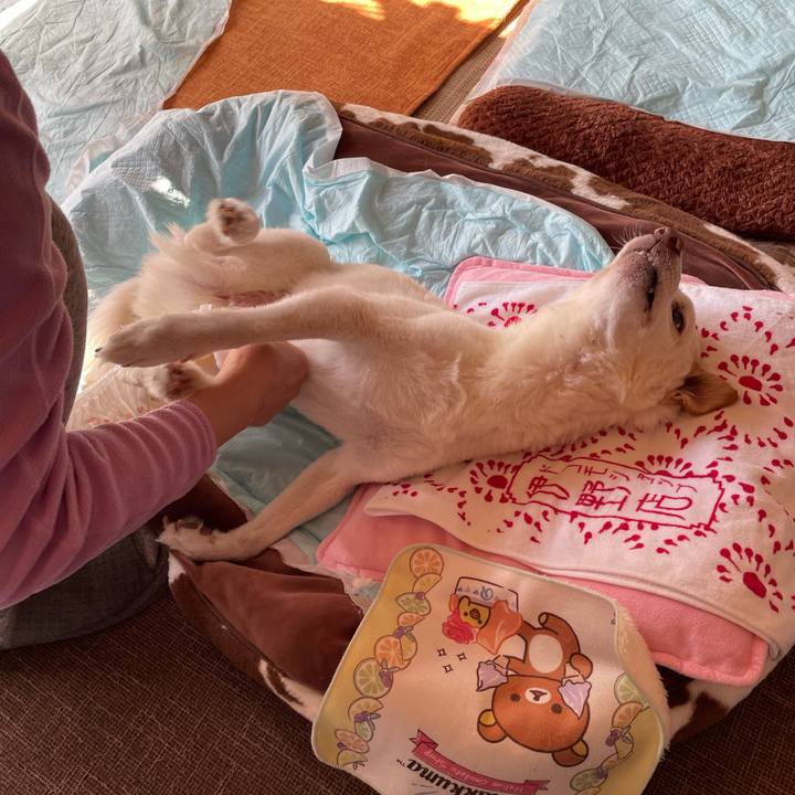 276fd64c 607f 410c 9622 f73779f2da73 1675863250309