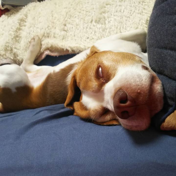 276fda13 b21d 4d34 a27c 0c385c37cf01 1649247231456