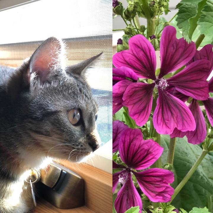 27700f19 0106 43e7 aee1 cabf64cb5057 1559780010634