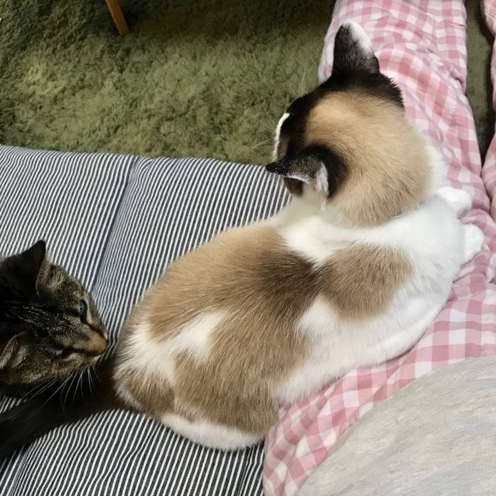 27706fb1 9e5c 4fe9 93af edc64997bb44 1593069968095