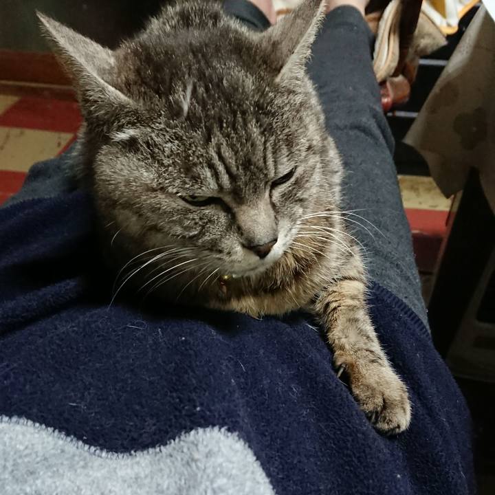 27708c6c 0ed6 4ca9 83b7 69c5956be3db 1552475983631