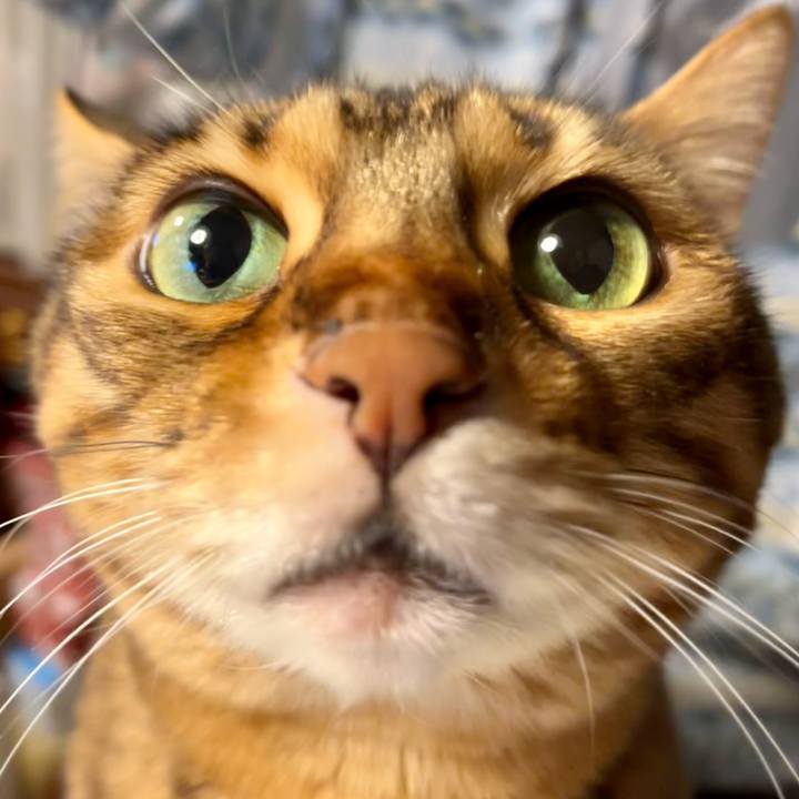 2770a90b 4e7c 4a41 aed9 2319b7ccd272 1674012248843