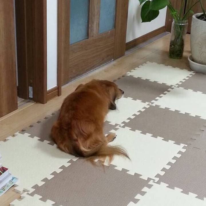 2770bd9b efa2 43f8 b1ad ea17844a525b 1555771883724