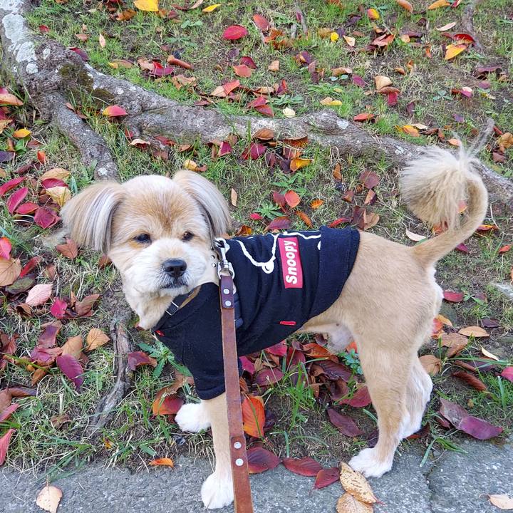 2770c948 a5c5 4930 8ad0 013c876f9625 1637026840358