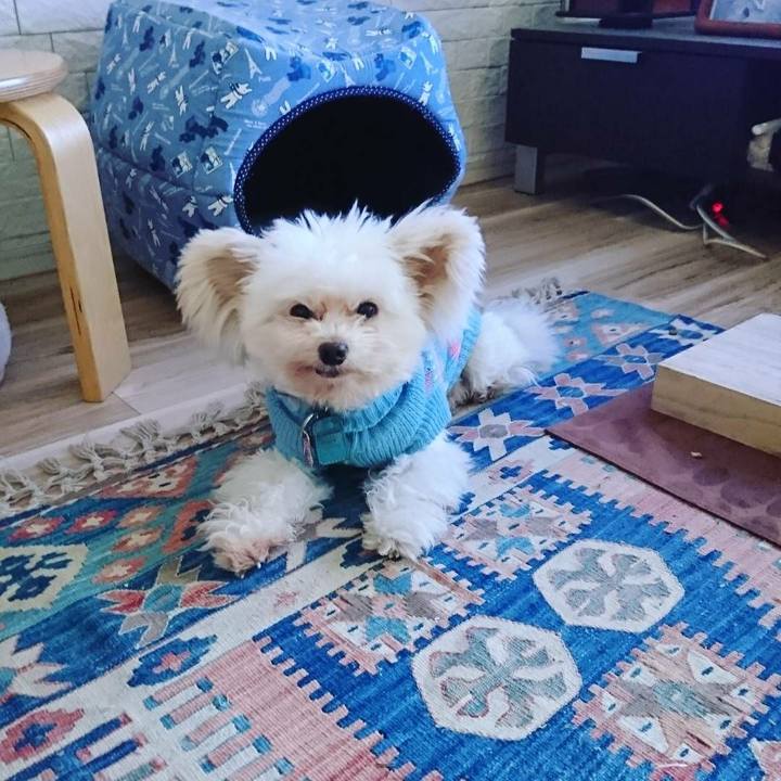 2770dc60 d642 45e6 9f67 9d8382b421b2 1519035506484