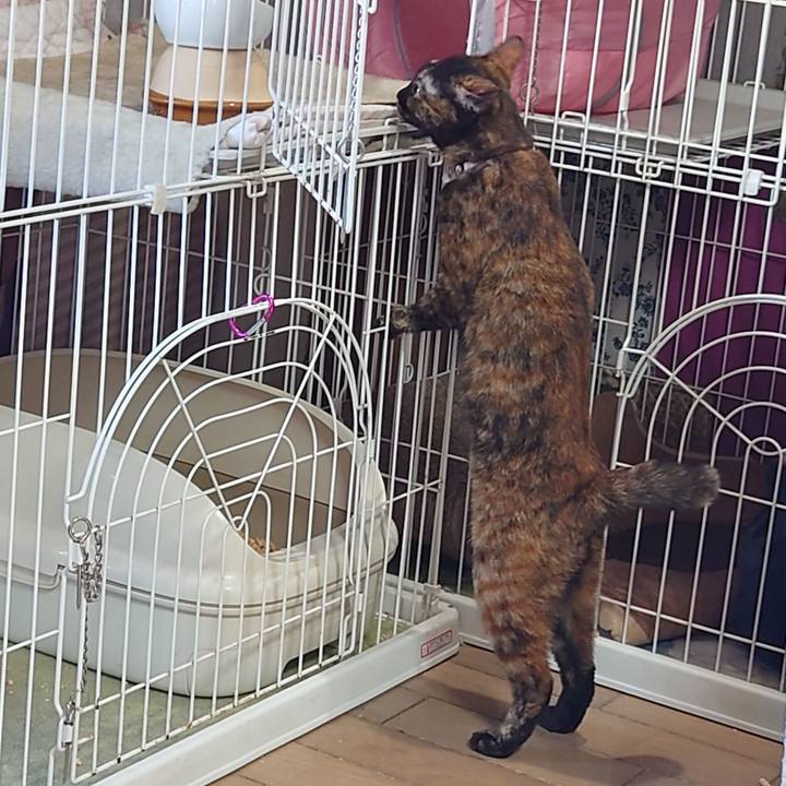 2770fb41 8c9a 4053 8e99 79af30cf825d 1633268320359