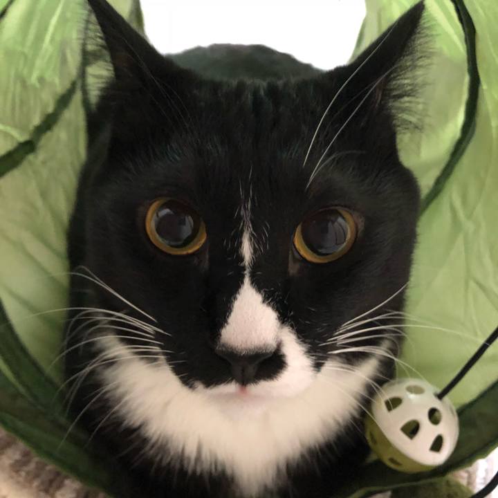 277112bb ce7a 4457 97f5 d200f0facc68 1541510314469