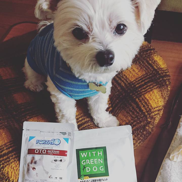 277159ae 5542 42c3 96ce 230522cb1696 1582178865318