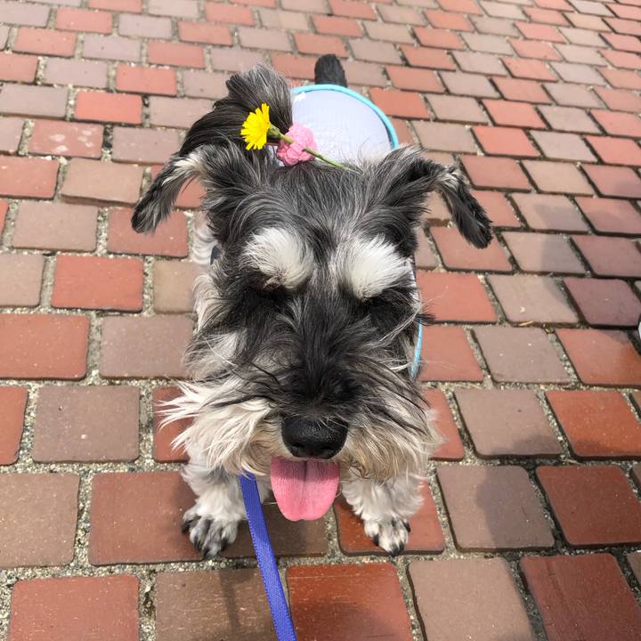 2771736d fb52 43ec 950e 88208ed7a60e 1684842888741