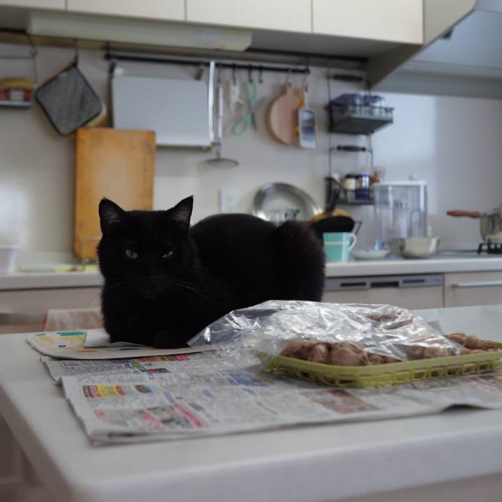 27719147 ff95 4334 8c3f 23a2515f470e 1611312490408