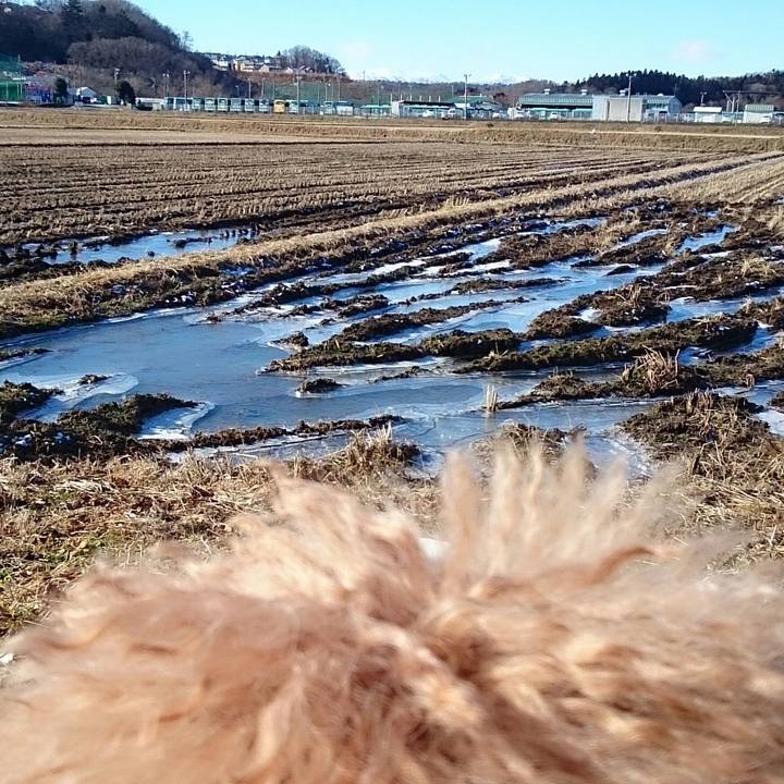 2771af79 0481 48e3 a770 25d6ef61f7e2 1516021182504