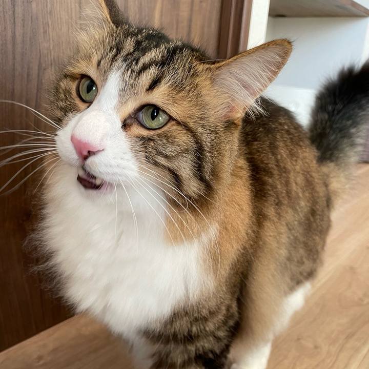 2771ed5c fcb9 4296 850b 2320f19ec87a 1759062980079