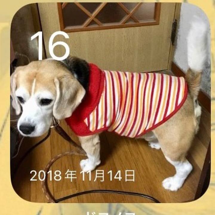 27720a8c 90f1 4673 878f 6d2b27449432 1700093260013