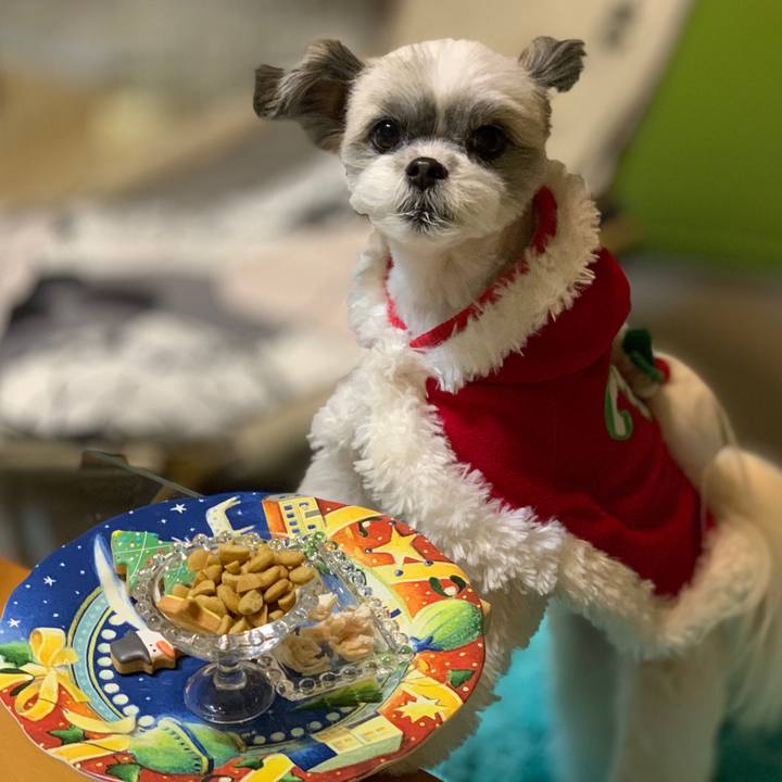 2772507b 721a 4f25 ba62 ead5f114c5f2 1608822867828