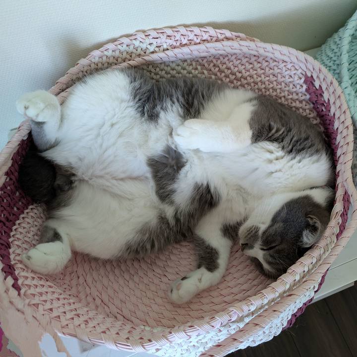 2772cfa7 81e3 45bb 8002 9bfcbb68bd95 1753061302646