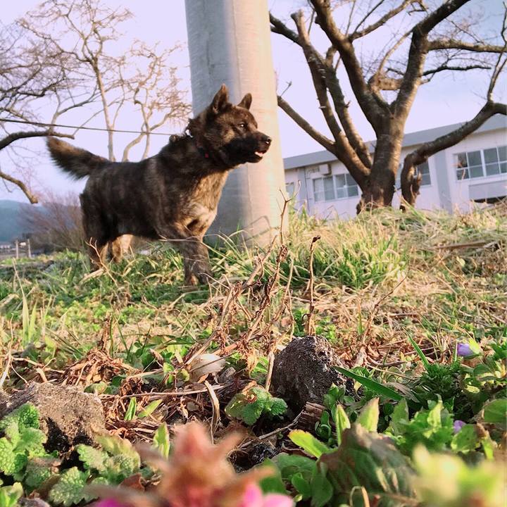 2772d07a 8ab2 442c aa63 c89d3c5ff5b3 1520757031893