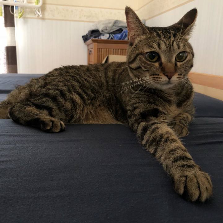 2772df0e f904 4df8 ae00 2af0aa0ccd55 1532582405086