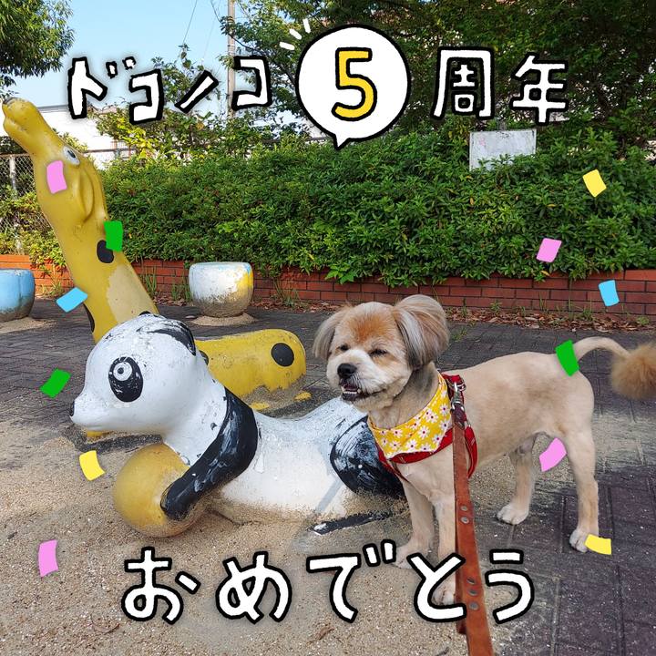 2772e609 5ea5 4efc 9d88 f5ed58c66d35 1623107268736