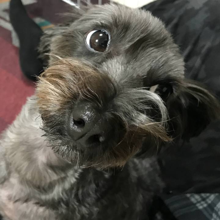 2772e64f 9d88 4a00 991e 095694abd3f9 1766155683865