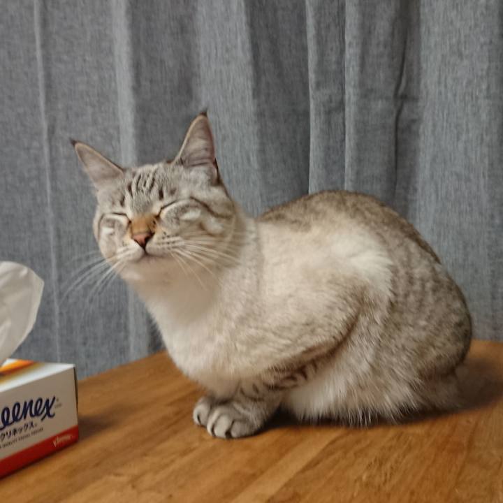 2772fa06 0daf 42fd 8d38 9ca1c8a7f199 1511695810158