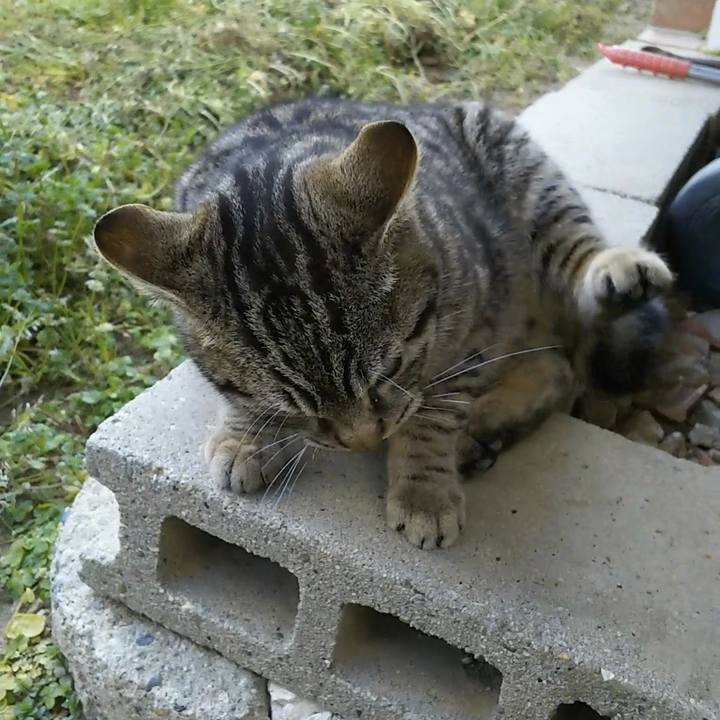 277300d4 c579 495f b71b 736e39aac67a 1552807589073