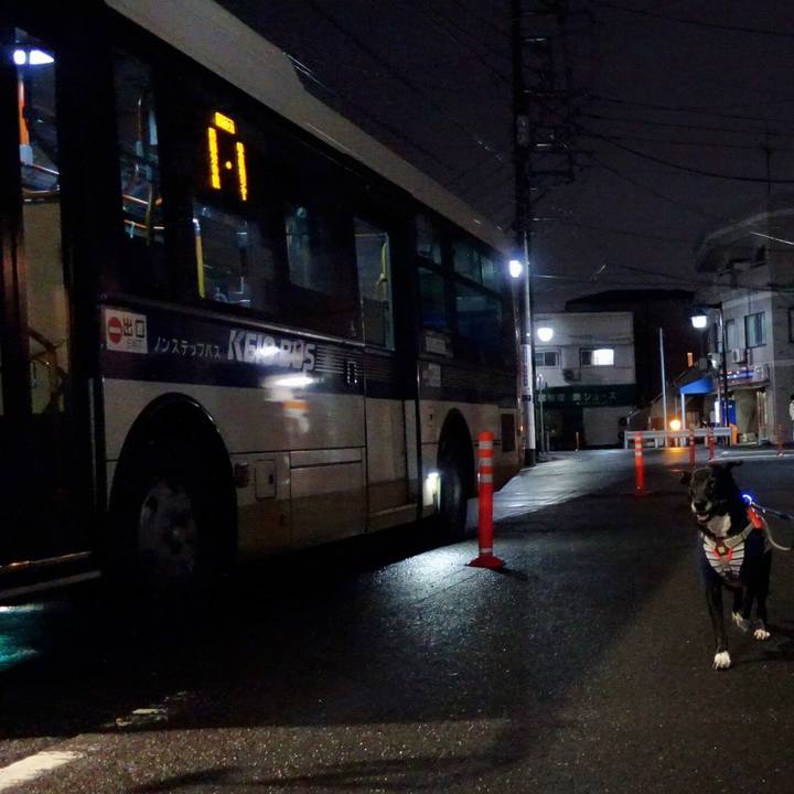 2773286f 95c2 44c5 a646 5f9c474c3f7f 1743600005997