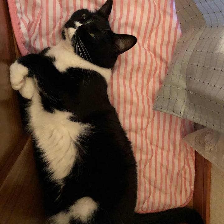 27737b25 61fc 4fb0 bd16 41dec788e665 1532642250792