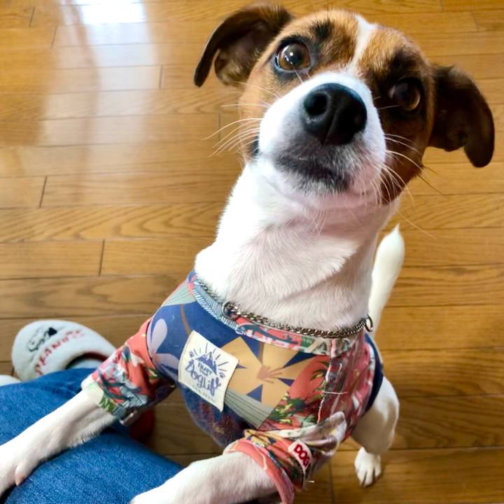 27737c45 755b 4c29 bd90 abd33135f389 1601253570070