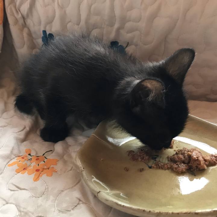 27737f47 b159 4b00 8f27 0bd67ad2369f 1561234931596