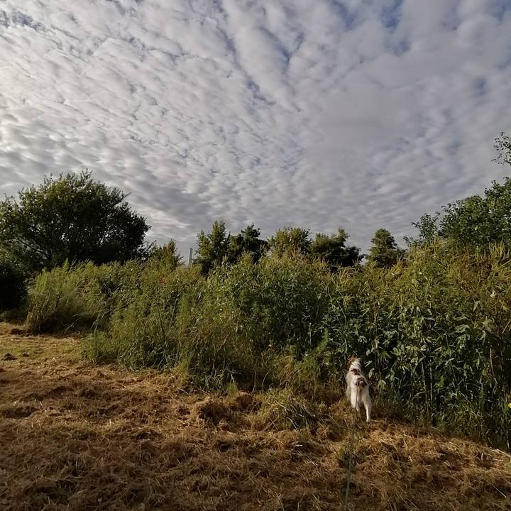 27738ee7 28b8 43d8 b5fd 5c95a27a817b 1632908607023