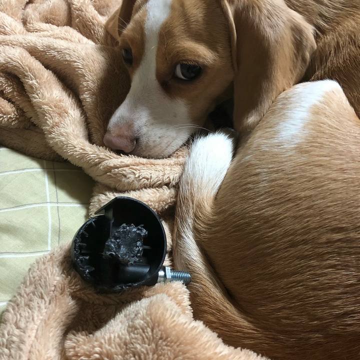 27739ebd 9434 47ed 87b5 27c33084c529 1517149627753