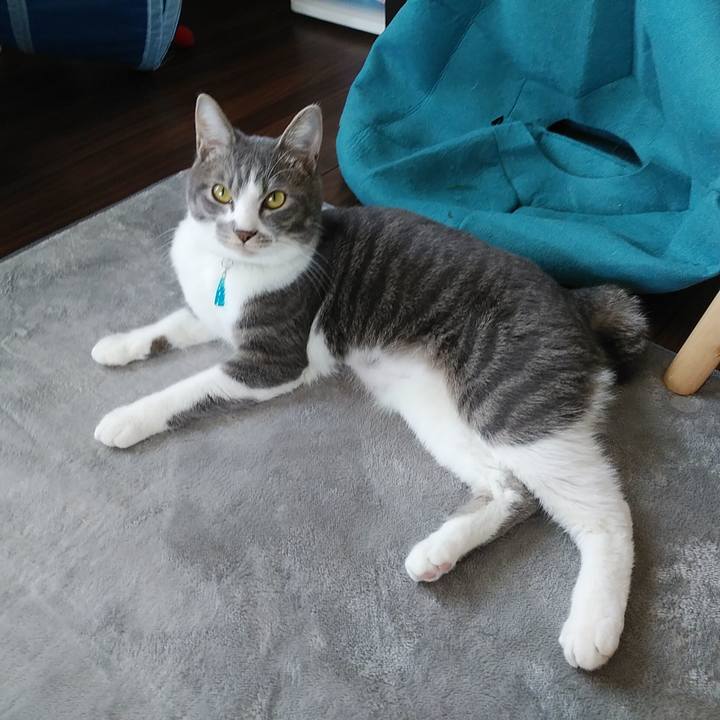 2773c20e 042c 4a09 afa8 c644f2b97b91 1586304285891