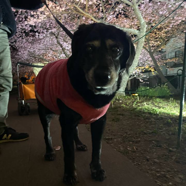 2773c7b6 d8dd 49bc 809d 0e1422e5de2b 1740745620008