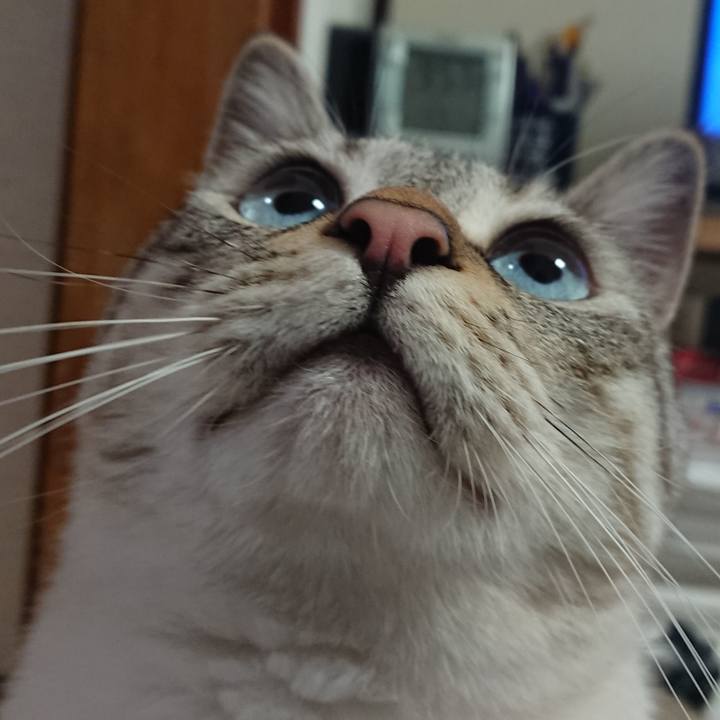 2773db15 4a09 4f8a 8822 96f2541a2e53 1527339523656