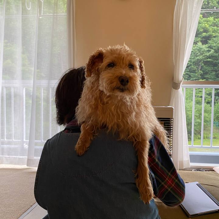 2774915a c81f 43e4 8078 5b304f4960e8 1689760636756