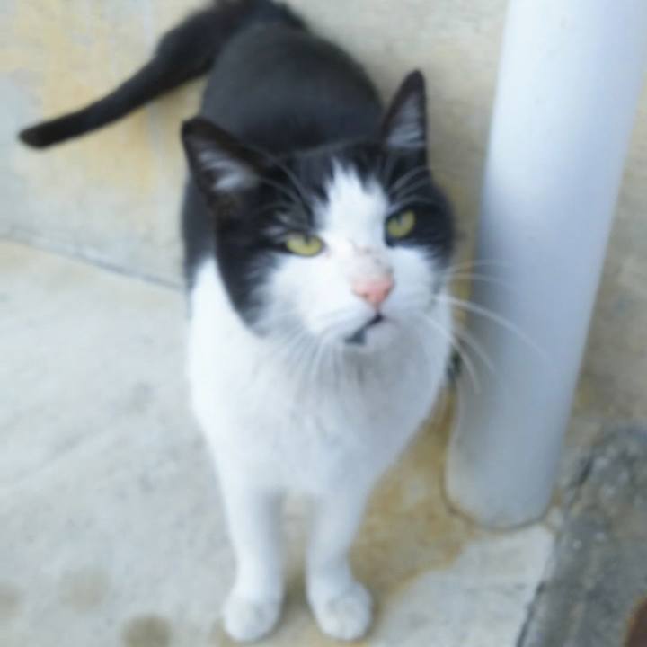 2774ec38 8451 4d5d 8c01 e10b23929cf9 1516404523426