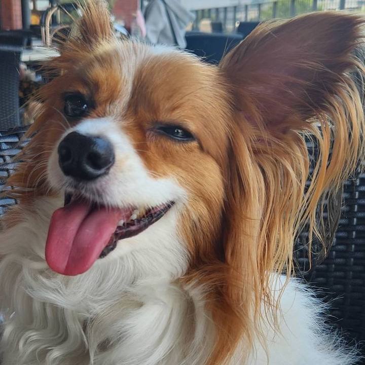 27751e24 9379 4e2c 9c2b e5ab99100f91 1754182593110