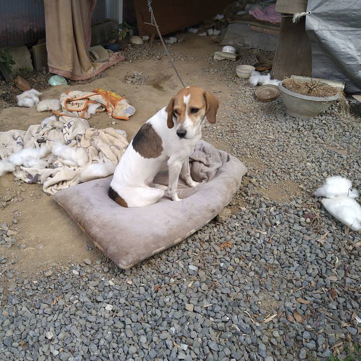 27753649 3dfa 441c 96c8 62ce2794f361 1634960356109