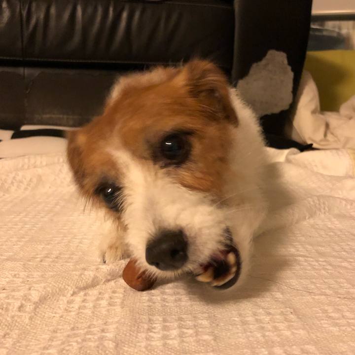 27754254 d101 4f08 a445 6fa1bf1f1acf 1569958336666