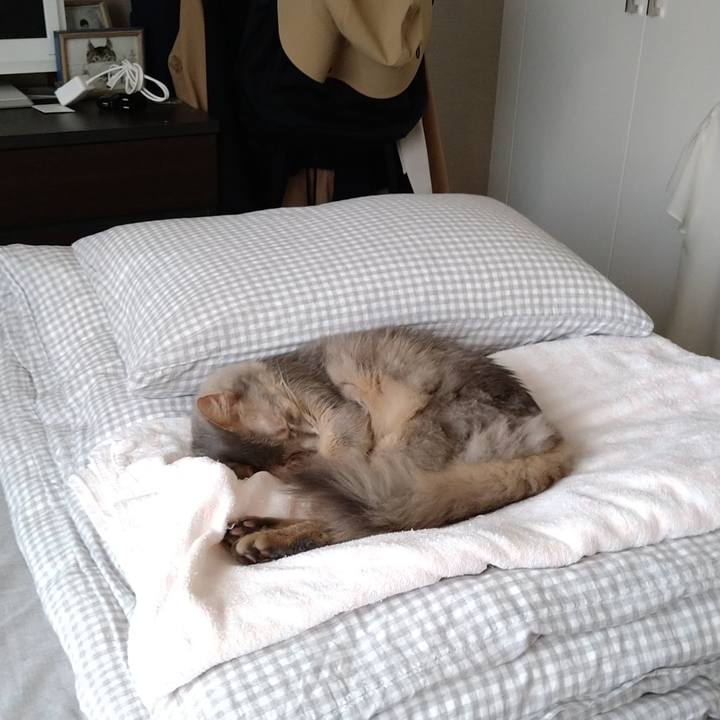 277588ba 1dab 4a43 84d2 57e665f17c17 1624277429704