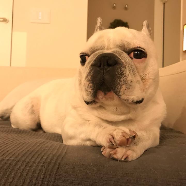 2775be9c 5054 4bea a735 cbdf40abf2e0 1585133747051