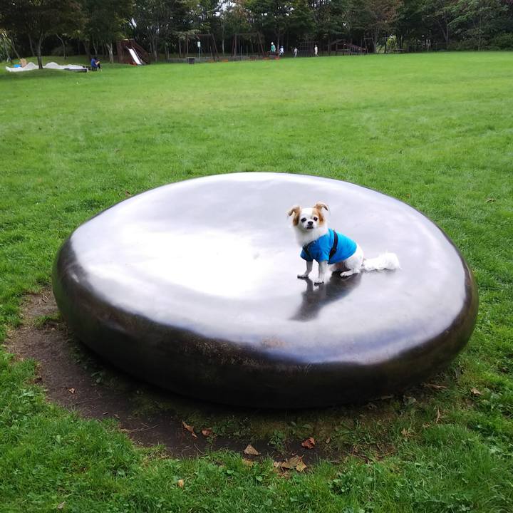 2775ee9a ee91 4452 a8be 0b92daa76add 1537084776427