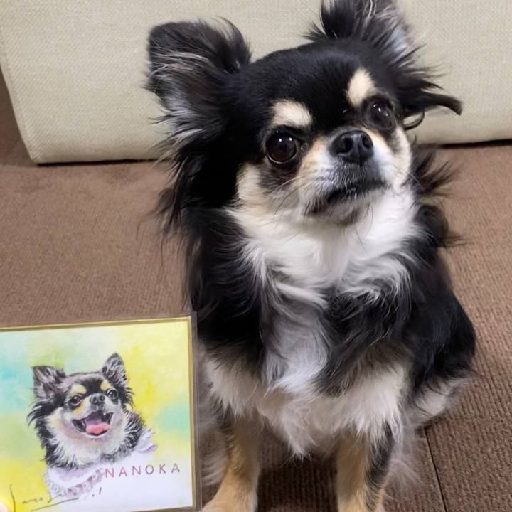 2775f926 1006 4815 b1a8 a0c15ff5a8bb 1654891811164