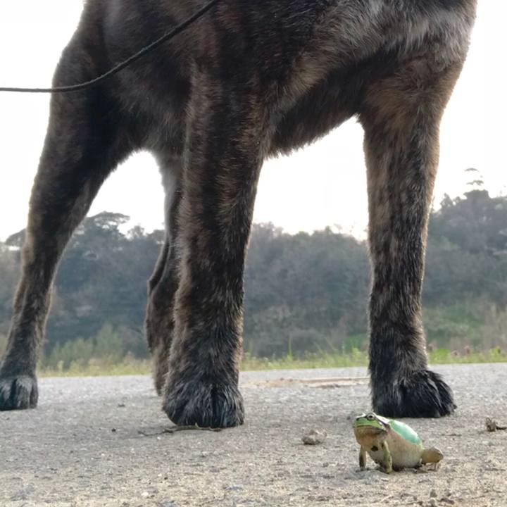 2776046c bb19 4719 add0 b5b518af58d6 1524177145822