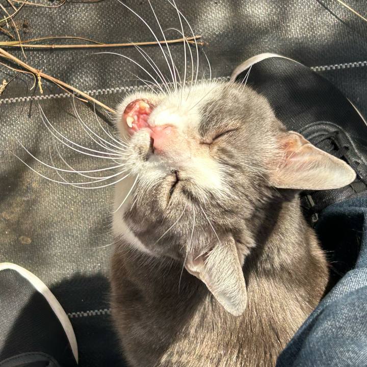 2776078c dfe8 4be2 a7fb 9c260fcf14b6 1772161292454