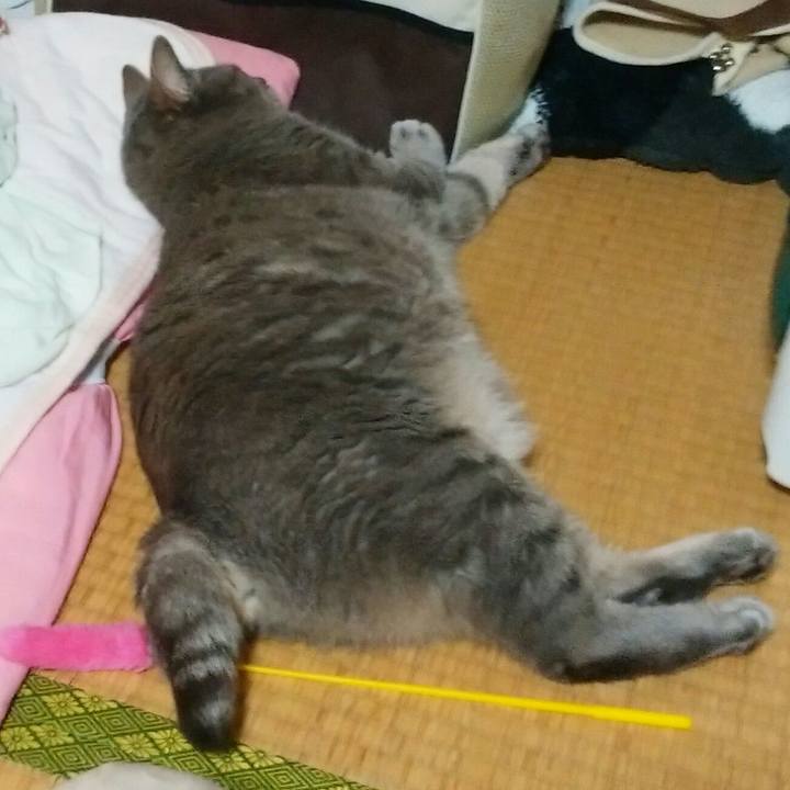 2776451d 0427 4b38 b3f0 72f1853c1440 1559124671046